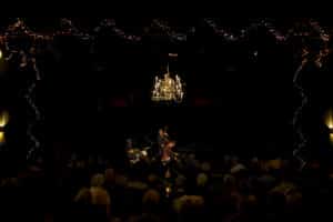 Peter beets met kerst verlichting